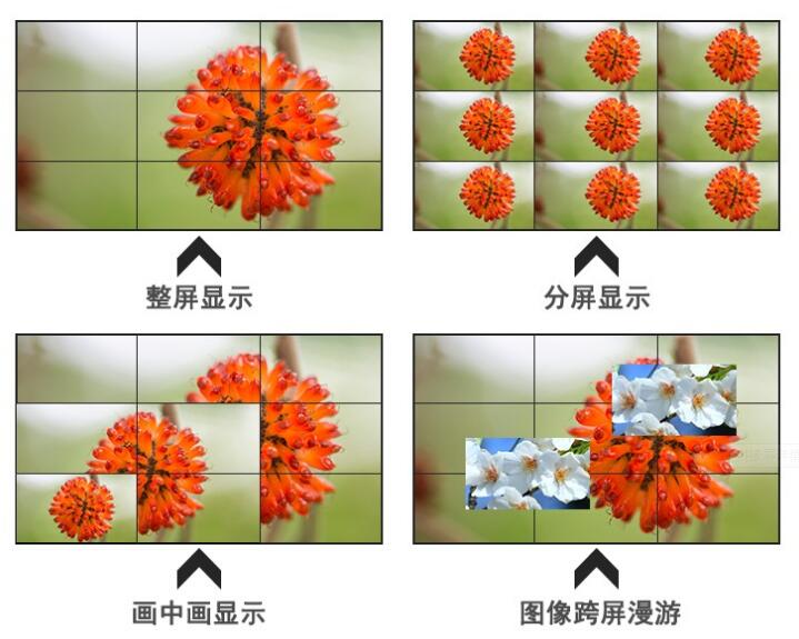 QQ截圖20190723104958.jpg